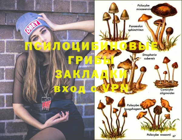 амф Абдулино