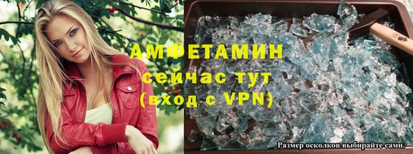 гашик Абаза