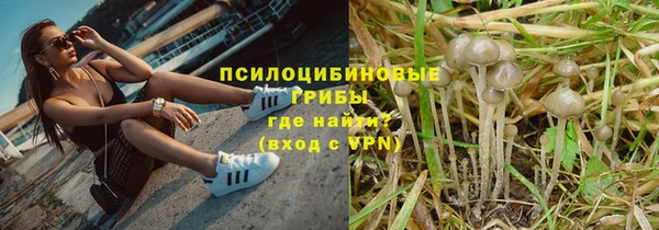 амф Абдулино