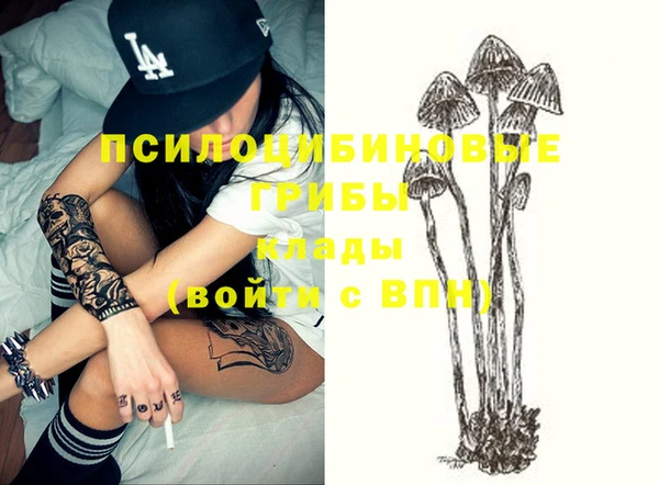 гашик Абаза