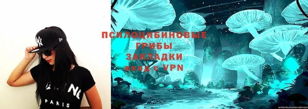 гашик Абаза